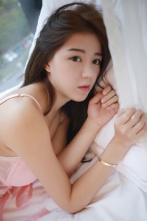 与君歌